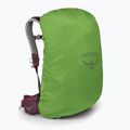 Zaino da escursionismo Osprey Sirrus 24 l da donna in sambuco viola / chiru tan 4
