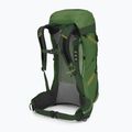 Zaino da escursionismo Osprey Stratos 36 l alghe/matcha verde uomo 3