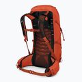 Zaino da trekking da uomo Osprey Talon Pro 30 l mars orange 2