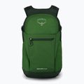 Zaino da trekking Osprey Daylite Plus 20 l verde belet / verde canopy