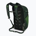 Zaino da trekking Osprey Daylite Plus 20 l verde belet / verde canopy 2