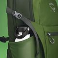 Zaino da trekking Osprey Daylite Plus 20 l verde belet / verde canopy 6