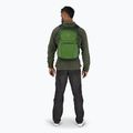 Zaino da trekking Osprey Daylite Plus 20 l verde belet / verde canopy 7
