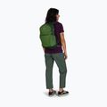 Zaino da trekking Osprey Daylite Plus 20 l verde belet / verde canopy 8