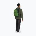Zaino da trekking Osprey Daylite Plus 20 l verde belet / verde canopy 11