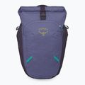 Osprey Transporter Roll Top 20 l zaino da città euphoria viola