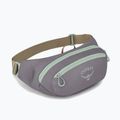 Marsupio Osprey Daylite Waist 2 l soundwave grey/ latte brown 2