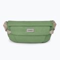 Osprey Arcane Hip 2 l botanica rene bustina