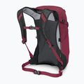Zaino da trekking Osprey Hikelite 18 l camaleonte / nero 3