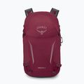Zaino da trekking Osprey Hikelite 26 l camaleonte/nero