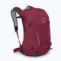 Zaino da trekking Osprey Hikelite 26 l camaleonte/nero 2