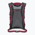 Zaino da trekking Osprey Hikelite 26 l camaleonte/nero 3