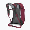Zaino da trekking Osprey Hikelite 26 l camaleonte/nero 4