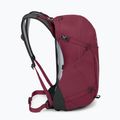 Zaino da trekking Osprey Hikelite 26 l camaleonte/nero 5