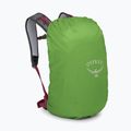 Zaino da trekking Osprey Hikelite 26 l camaleonte/nero 6