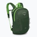Zaino da trekking Osprey Jet 12 l verde canopy / verde limeline per bambini 2