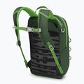 Zaino da trekking Osprey Jet 12 l verde canopy / verde limeline per bambini 3