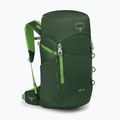 Zaino da trekking Osprey Jet 28 l green canopy 2