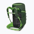 Zaino da trekking Osprey Jet 28 l green canopy 3