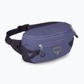 Osprey Transporter Waist Pack 3 l marsupio euphoria 2