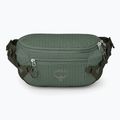 Osprey Transporter Waist Pack 3 l Borsa renna in foglia di pino