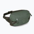 Osprey Transporter Waist Pack 3 l Borsa renna in foglia di pino 2