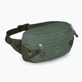 Osprey Transporter Waist Pack 3 l Borsa renna in foglia di pino 3