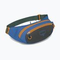 Osprey Daylite Waist Earth 2 l antracite scuro/blu fiamma sacca renale 2