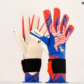 RG Toride 21/22 Guanti da portiere rosso/blu 5