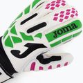 Guanti da portiere Joma Premier bianco/verde 3