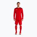 Kit da portiere Joma Zamora VIII rojo