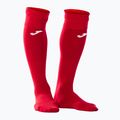 Kit da portiere Joma Zamora VIII rojo 5