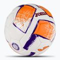Joma Dali II calcio bianco/fluor arancione/porpora misura 3 2