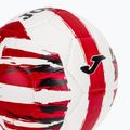 Joma Light calcio taglia 5 3