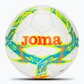 Joma Dali III farina turchese / farina corallo calcio taglia 5