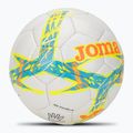 Joma Dali III farina turchese/corallo taglia 3 2