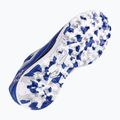 Scarpe da calcio Joma Liga 5 TF da uomo, royal 12
