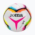 Joma Halley II calcio bianco/rosa taglia 4