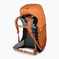 Zaino da trekking per bambini Osprey Ace 38 l orange sunset 6