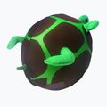 Copricasco COOLCASC Turtle 3