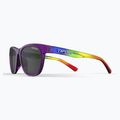 Occhiali da sole Tifosi Swank arcobaleno lucido/fumo 3