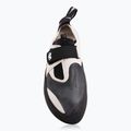 Scarpa da arrampicata Evolv Zenist grigio/nero 3
