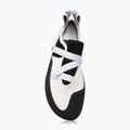Scarpa da arrampicata da donna Evolv Defy grigio/bianco 4