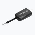 Adattatore allenatore Wahoo Kickr Direct Connect 2