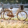 Kellys Royal Dutch 460 city bike nero 8