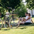 Kellys Royal Dutch 460 city bike nero 11