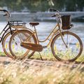 Kellys Royal Dutch 460 mentolo city bike 3