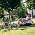 Kellys Royal Dutch 460 mentolo city bike 6