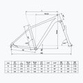 Kellys Spider 50 29" mountain bike nero 68852 2
