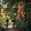 Bicicletta da trekking da donna Kellys Cristy 40 viola 8